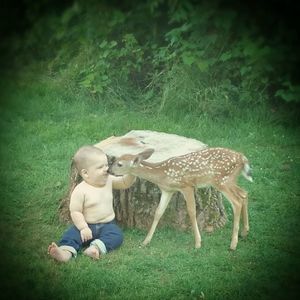 Meet your Posher, Rachey